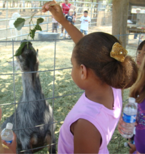 girl at zoo