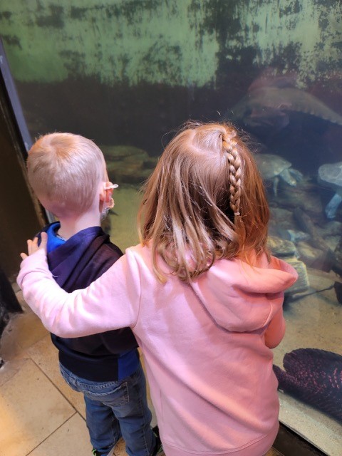 Siblings in Aquarium